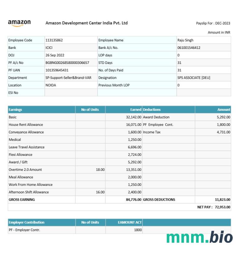Szablon odcinka wypłaty Amazon Development Center India w formatach Word i PDF